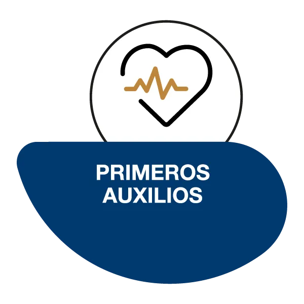 PRIMEROS AUXILIOS